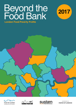 BeyondTheFoodBank2017.cover.png