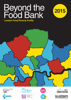 BeyondTheFoodBankReport_FINAL_20152010.cover.png