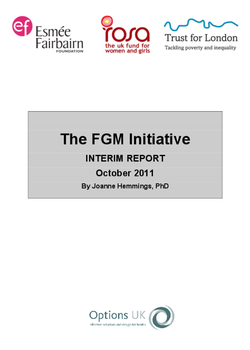 FGM-Interim-Report1_bnrljtr.cover.png