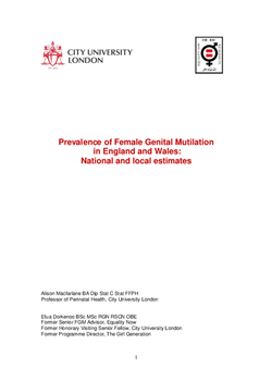FGM-statistics-final-report-21-07-15-released-text_2Rra6iA.cover.png